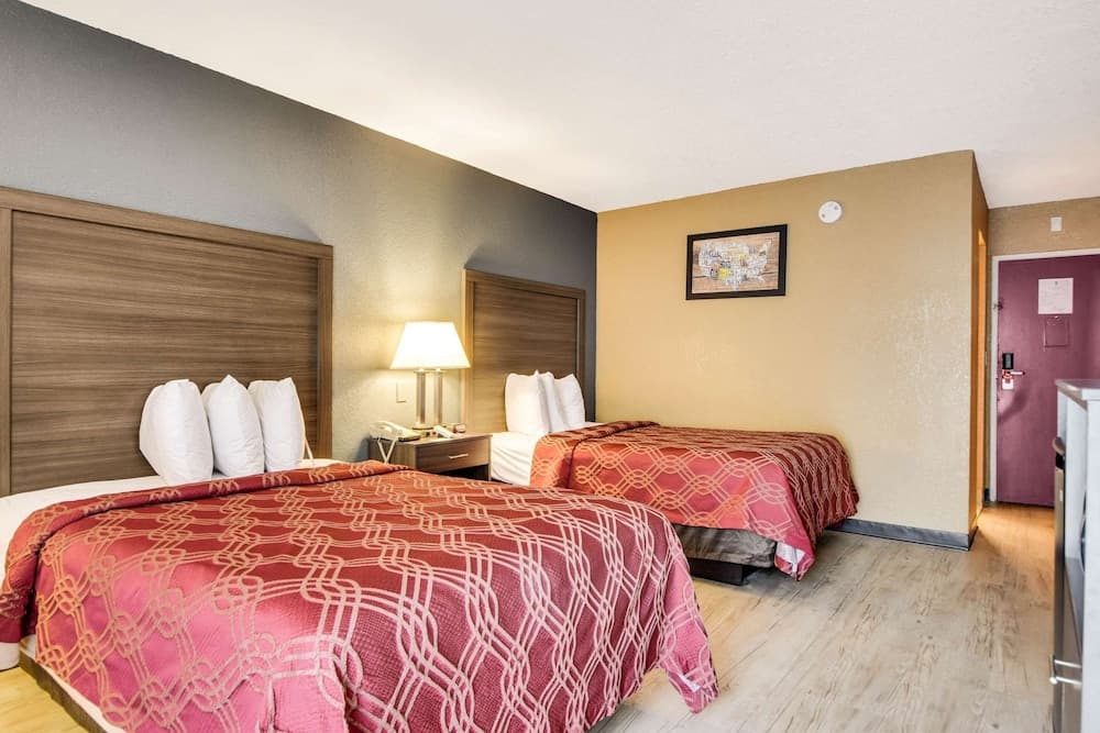 Econo Lodge Tampa near Busch Gardens — 2