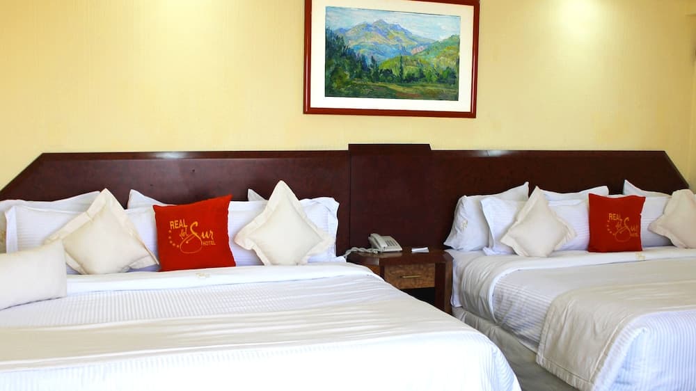 Hotel Real del Sur — 13