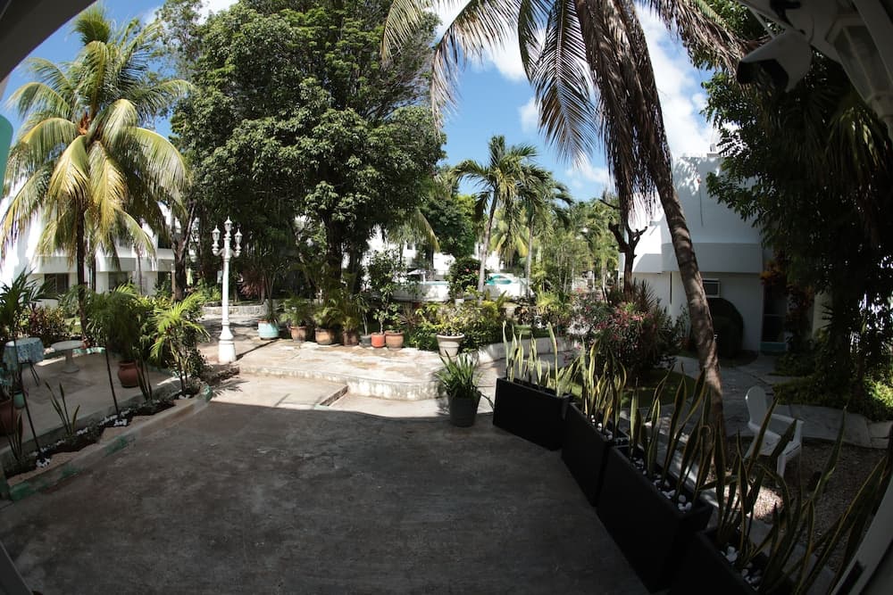 Casa Comfy — 13