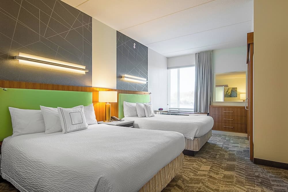 SpringHill Suites by Marriott Tampa North/I 75 Palms di Tampa — 8