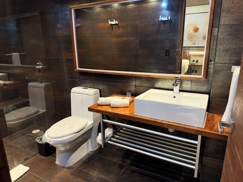 Hotel Kavia Quinta Avenida — 23