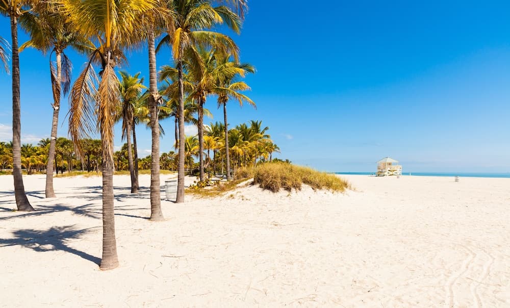 iCoconutGrove Vacation Rentals — 25