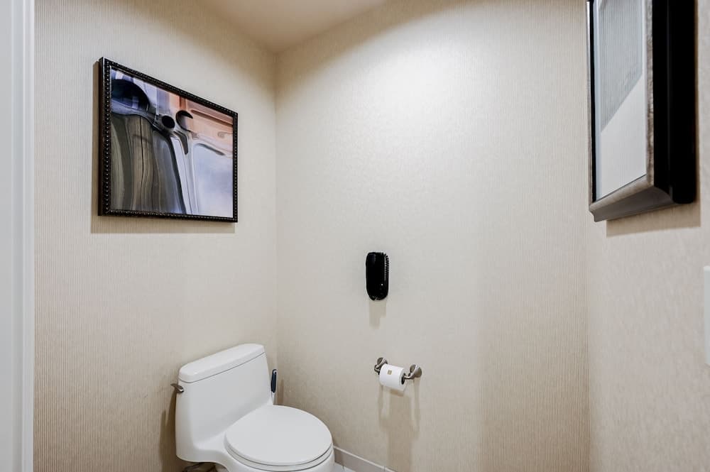 StripViewSuites im Signature — 13
