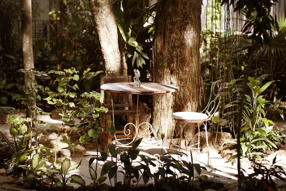 Hotel La Semilla, Playa del Carmen, a Member of Design Hotels - Adults Only — 2