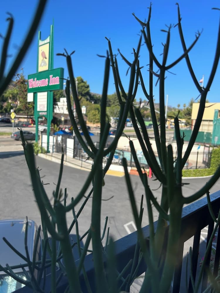 Bienvenido Inn en Colorado Blvd. — 2