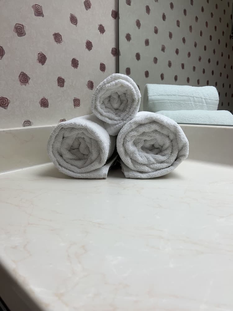 Orlando Palms Hotel — 13