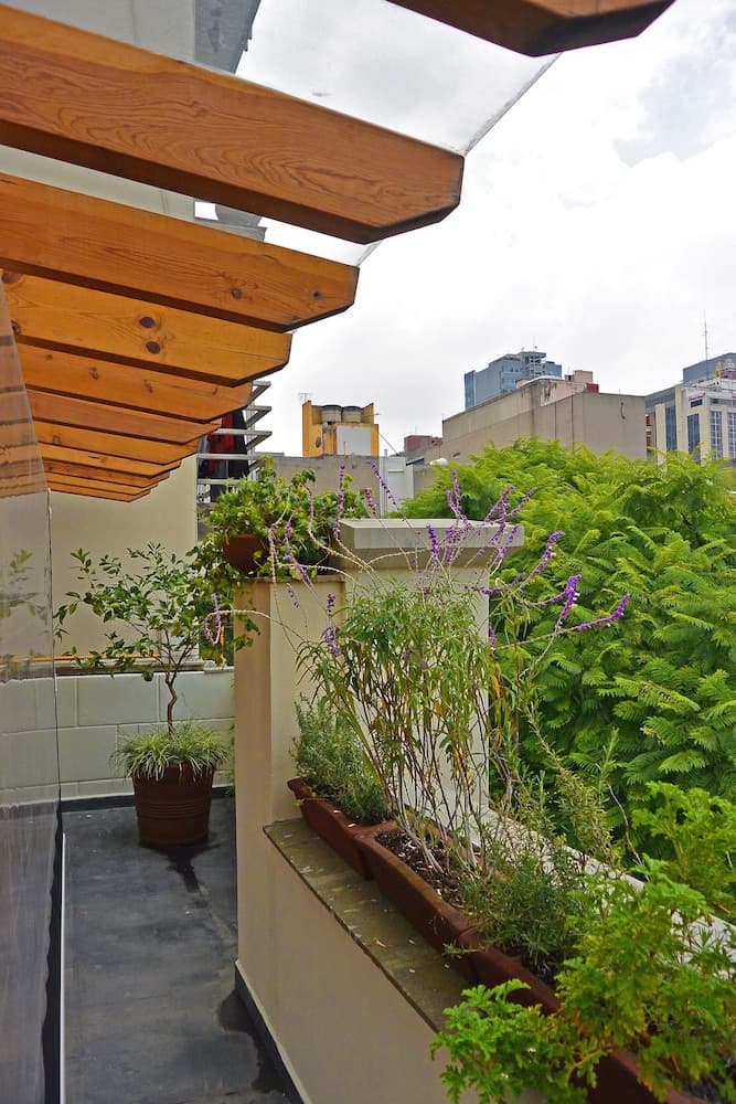 Senia Reforma — 3