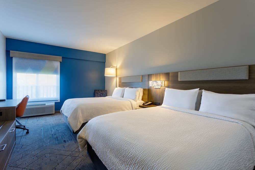 Holiday Inn Express Tampa N I-75 - Área universitaria, un hotel IHG — 22