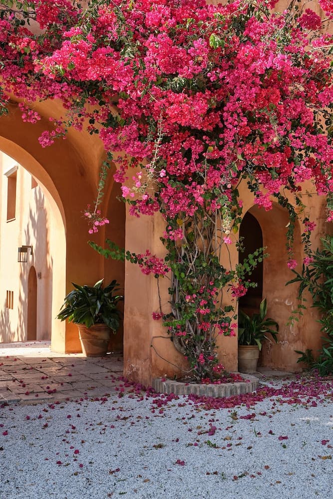 Soho Boutique Castillo Santa Catalina — 8