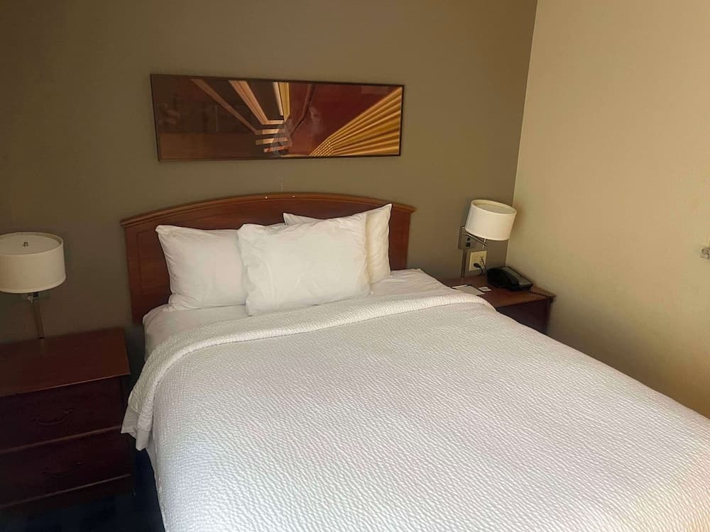 MainStay Suites Tampa Moffitt-USF — 7