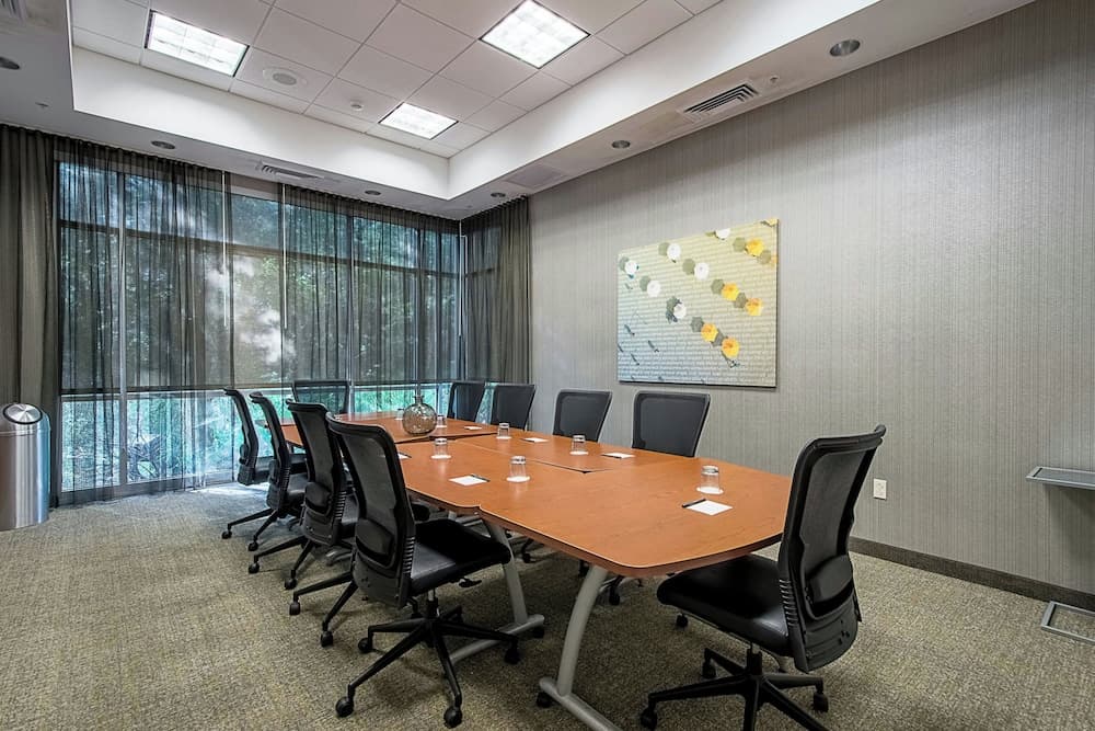 SpringHill Suites by Marriott Tampa North/I 75 Palms di Tampa — 25