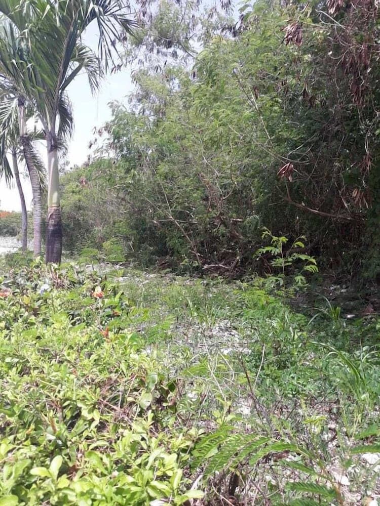 Hostel Hilet Punta Cana — 26