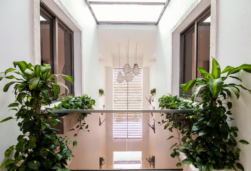 Beach Rock Condominio Boutique — 22
