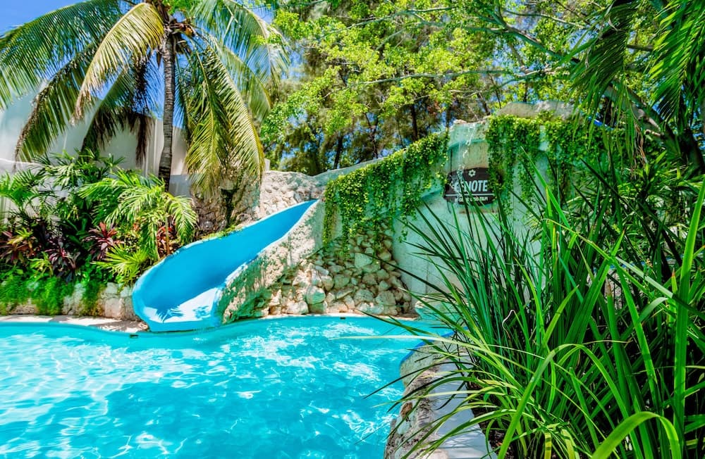 Oasis Palm - All Inclusive — 3
