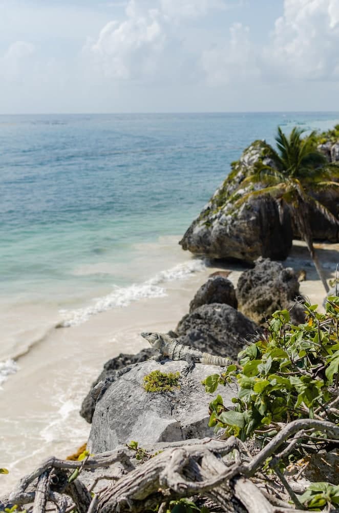 Radhoo Tulum — 30
