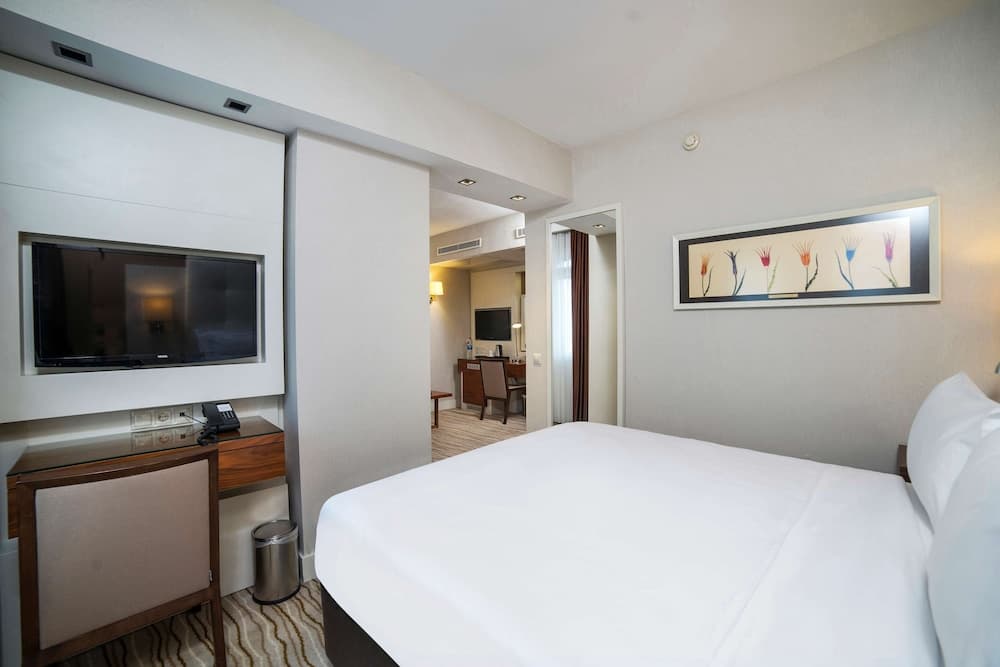 Radisson Hotel Istanbul Sultanahmet — 19