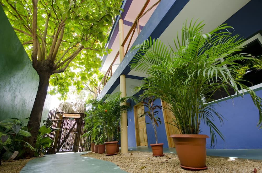 Casa Almendro — 2