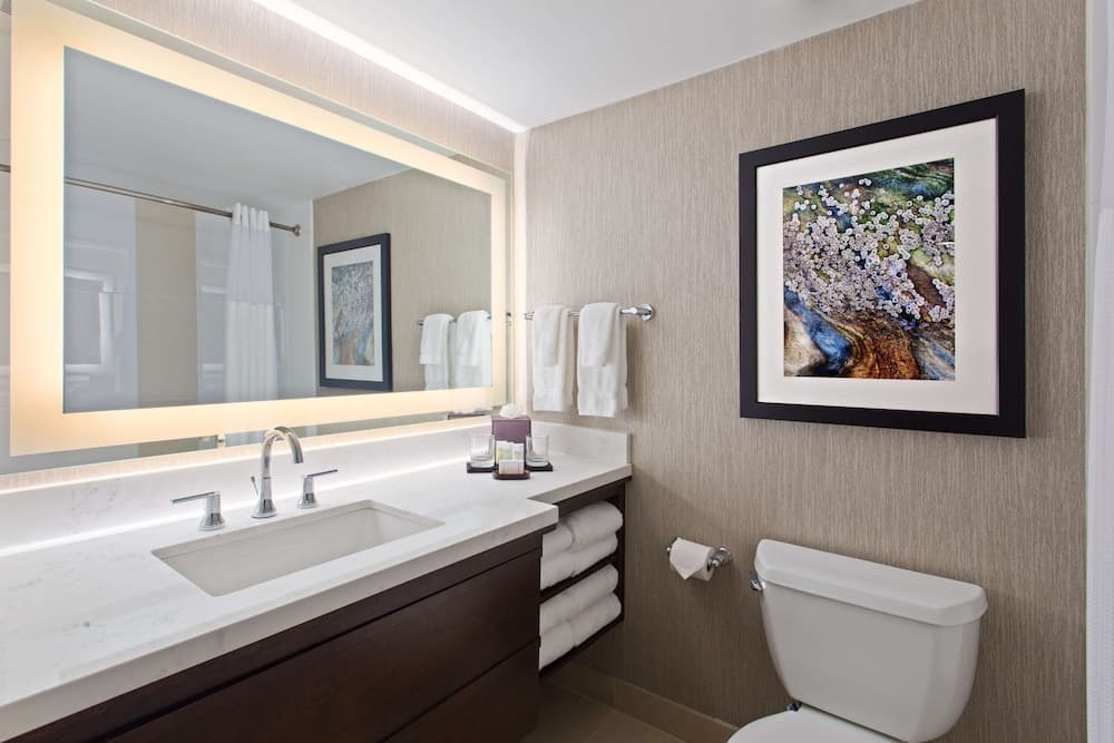 Embassy Suites by Hilton Orlando International Dr Kongresszentrum — 23