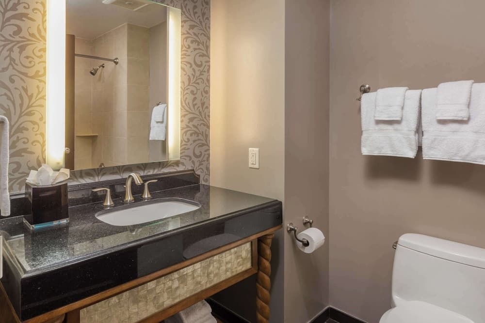Wyndham Grand Resort Bonnet Creek — 18