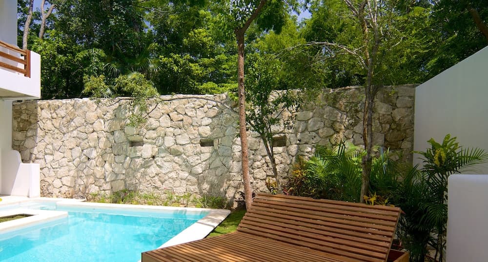 Livetulum — 17