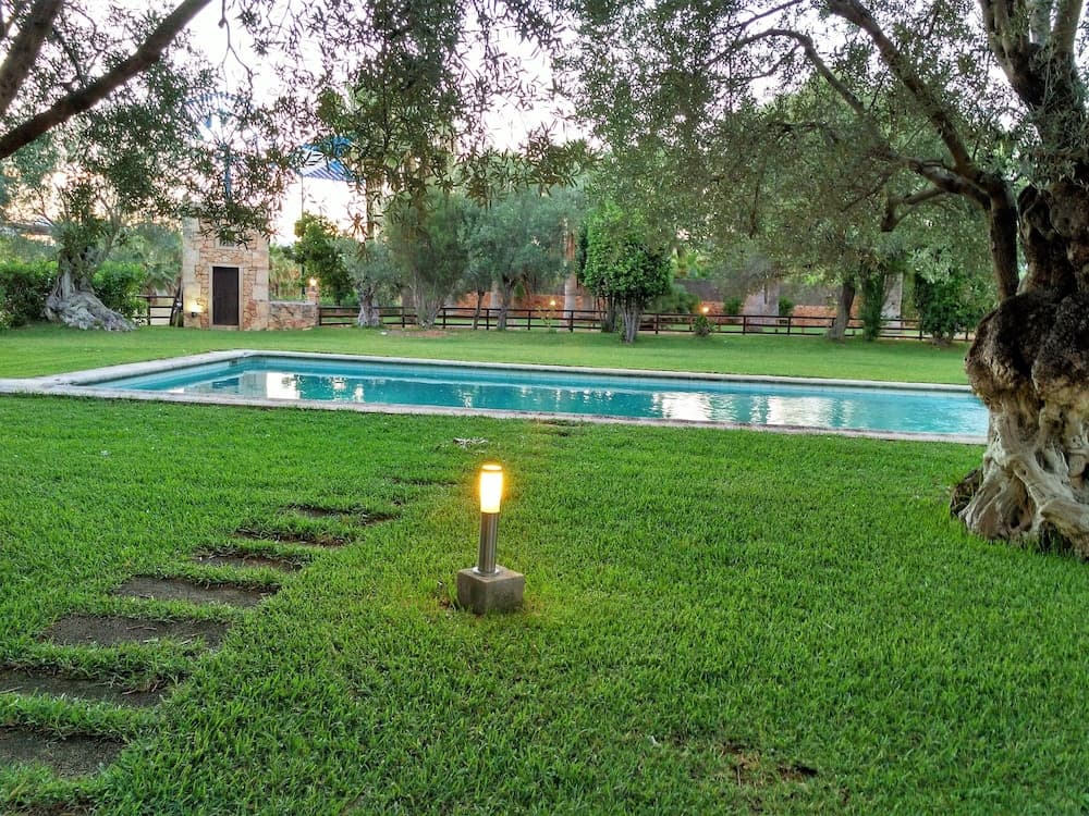 Agroturismo Finca Son Amora — 5