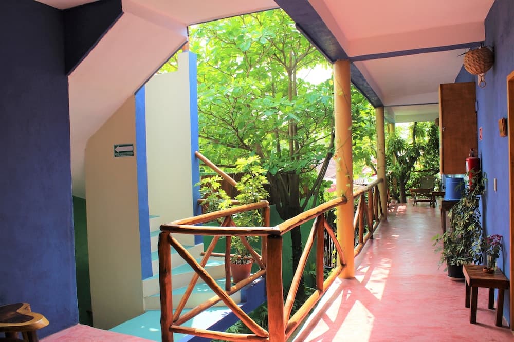 Casa Almendro — 4