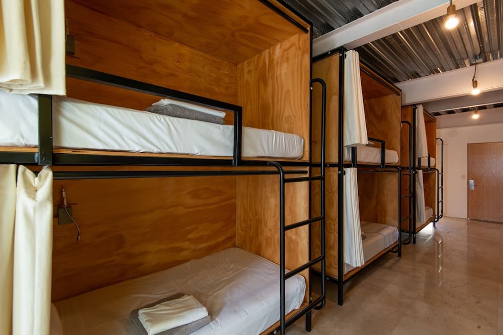 Mayan Monkey Los Cabos — 20