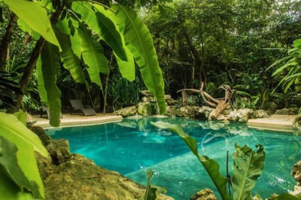 Reserva Ecologica Hacienda Cancun - Nature Reserve Hacienda Cancun — 27