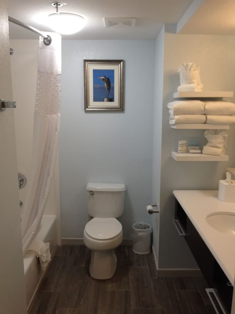 Hampton Inn Tampa/Rocky Point-Airport — 2