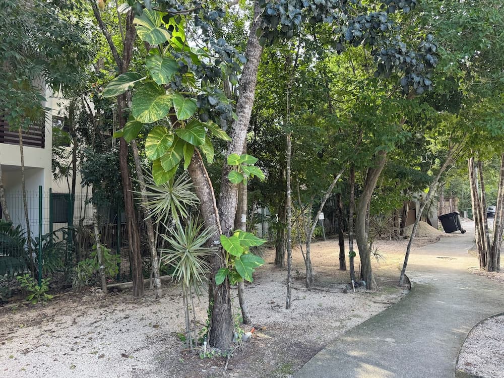 Albra Tulum — 25