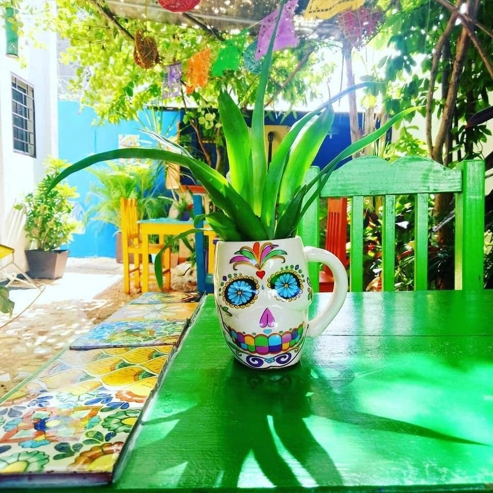 Vainilla B&B Mexico — 12