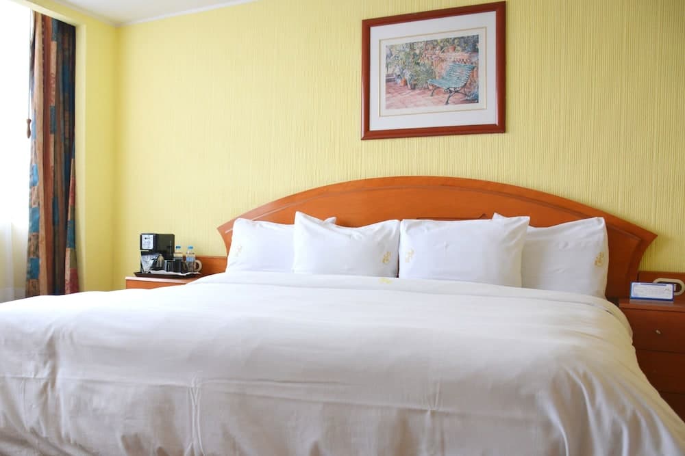 Hotel Real del Sur — 9