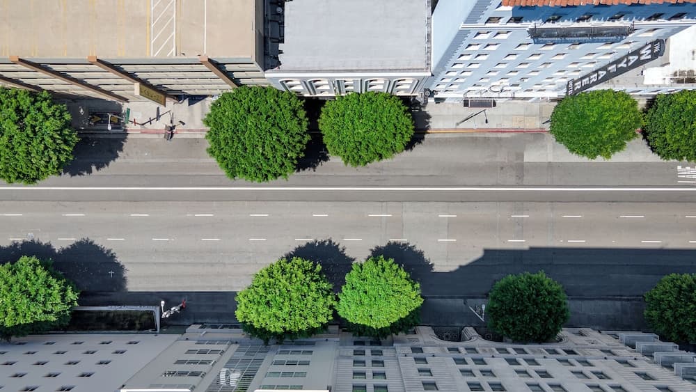 The O Hotel, Trademark Collection by Wyndham — 2