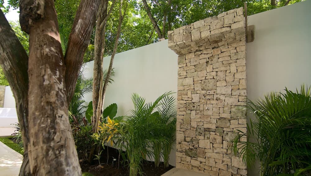 Livetulum — 14