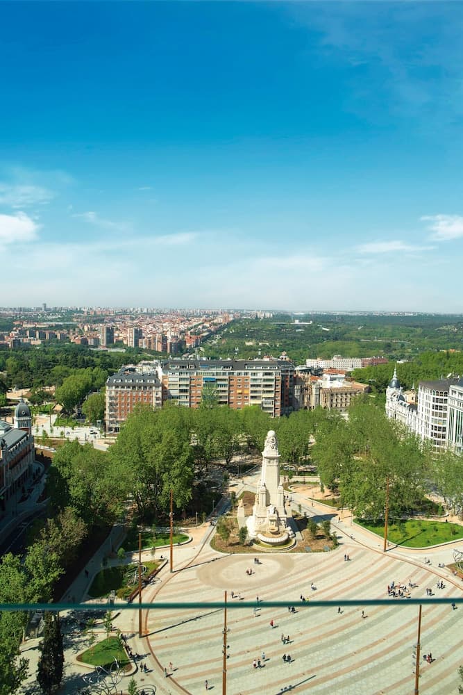 Hotel Riu Plaza España — 5