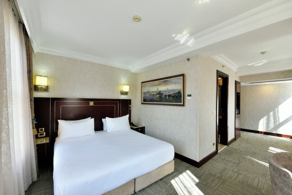 Crowne Plaza Estambul - Ciudad Vieja by IHG — 12