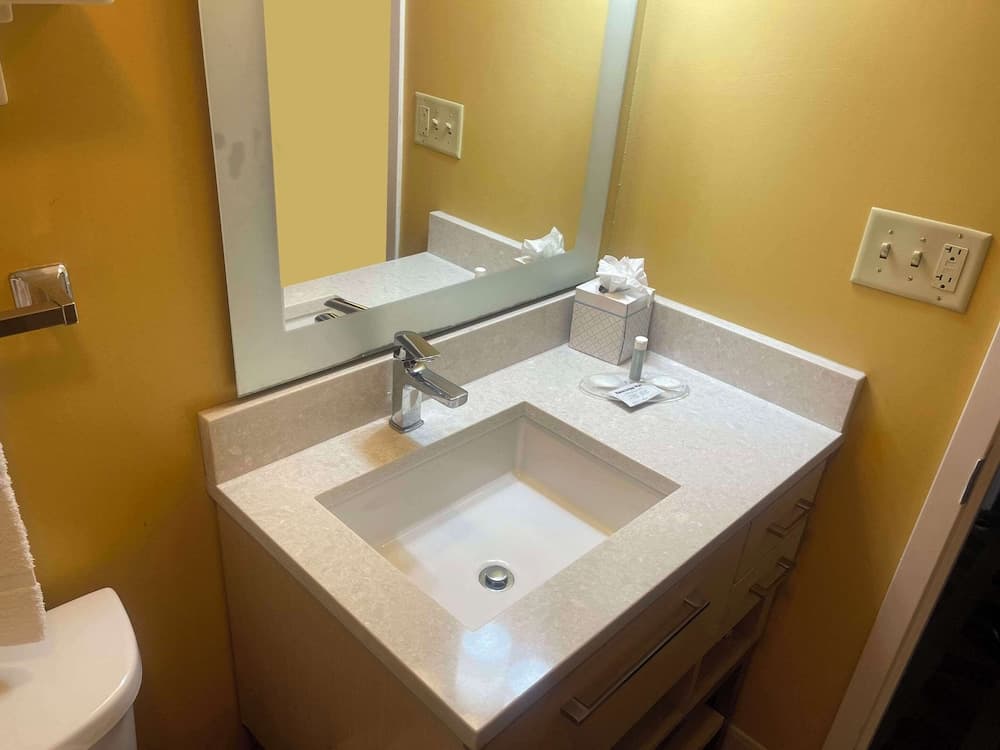 MainStay Suites Tampa Moffitt-USF — 8