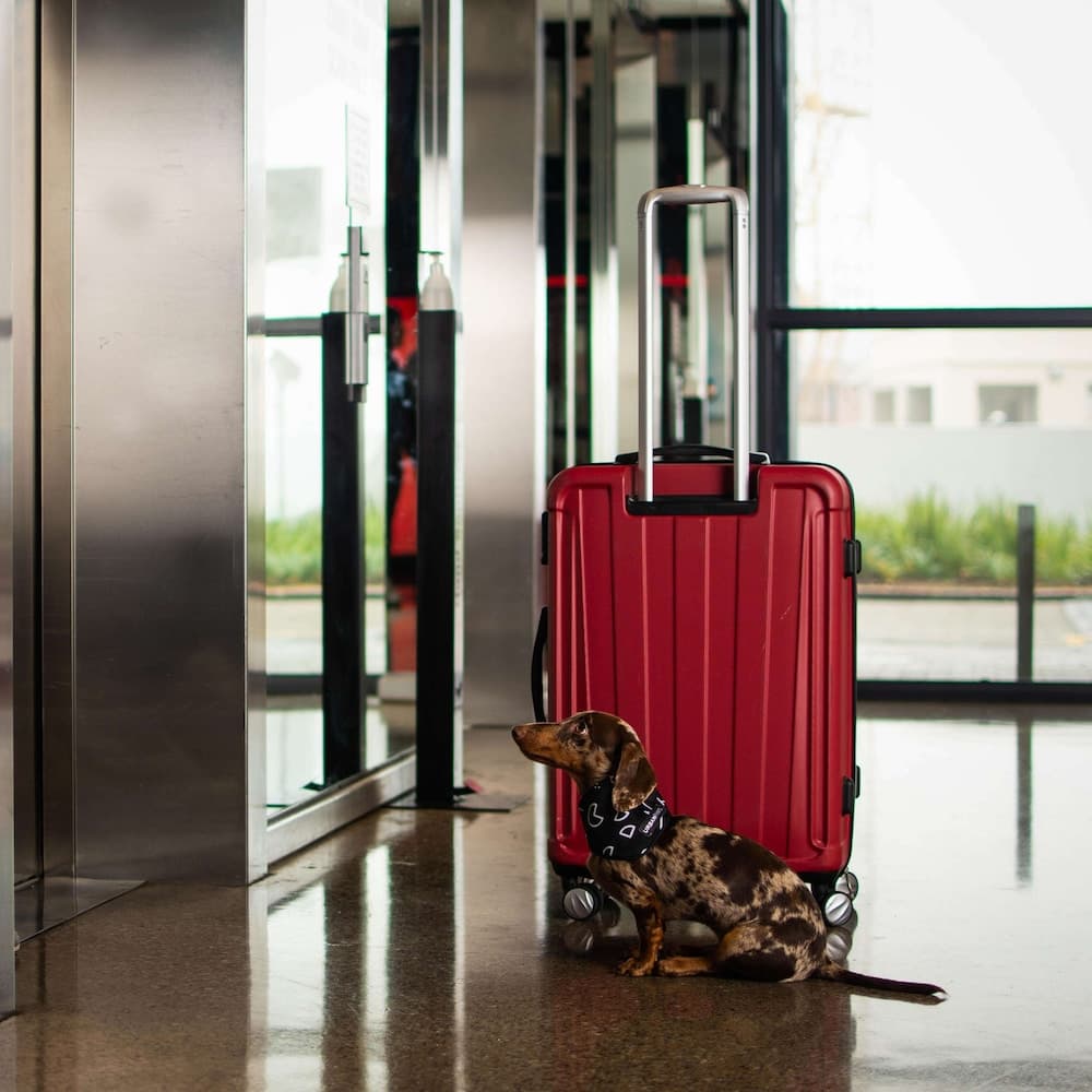 Radisson RED V&A Waterfront, Cape Town hotel, Silo 6, South Arm Road, V&A Waterfront, Cape Town, Western Cape, 8001, South Africa — photo 92