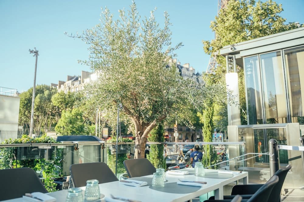 Pullman Parigi Torre Eiffel — 19