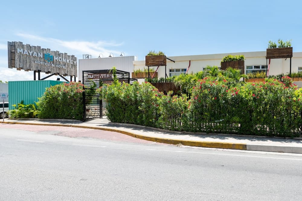 Mayan Monkey Cancun | Social Hotel — 13