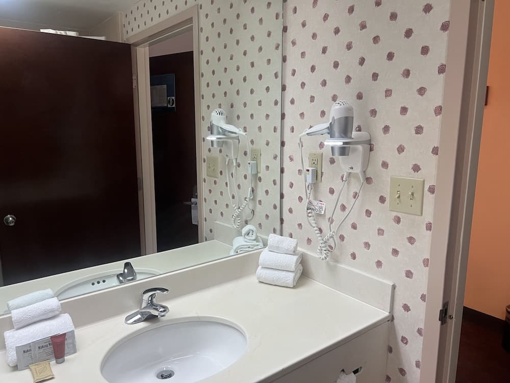 Orlando Palms Hotel — 15