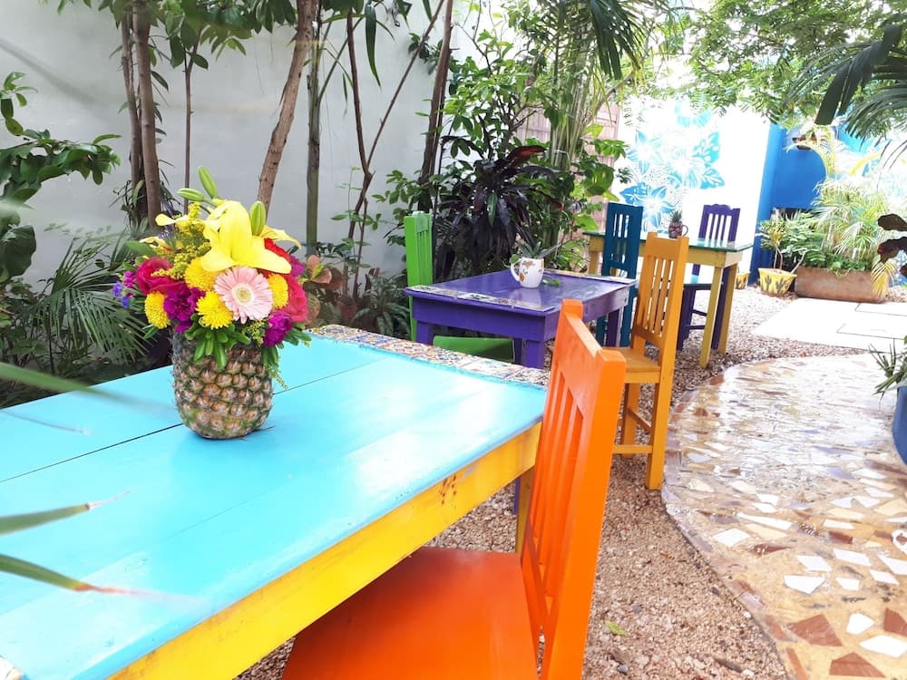 Vainilla B&B Messico — 20