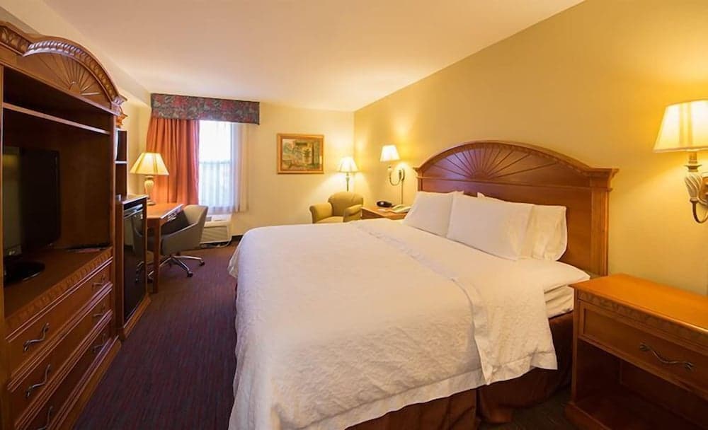 Orlando Palms Hotel — 8