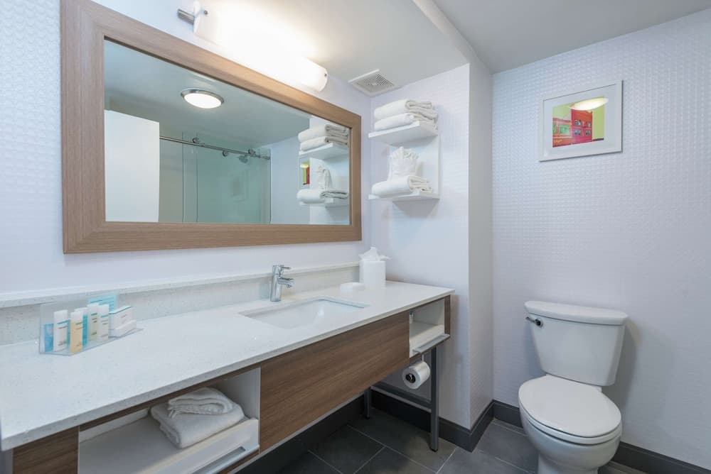 Hampton Inn Tampa-Veterans Expwy (Aeroporto Nord) — 13