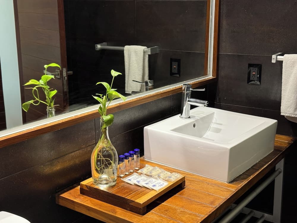 Hotel Kavia Quinta Avenida — 22
