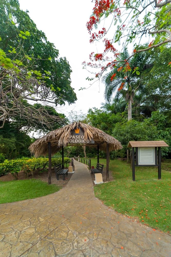 Princess Family Club Bavaro - All Inclusive — 6