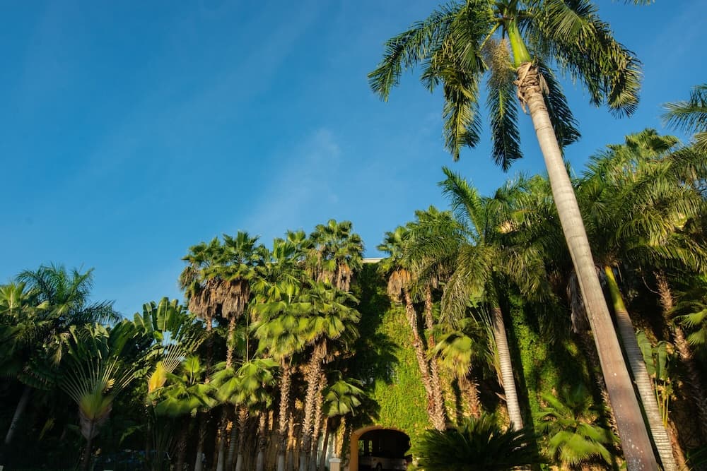 Kimpton Tres Rios Resort All-Inclusive — 9