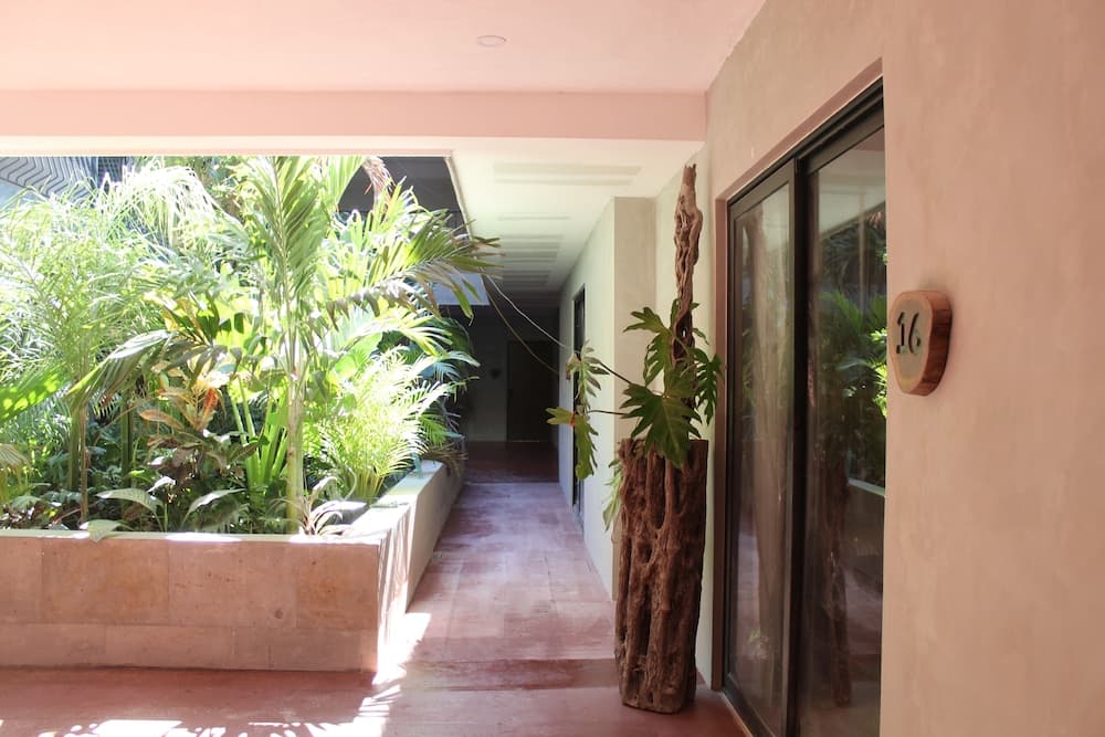 Calea Tulum — 17