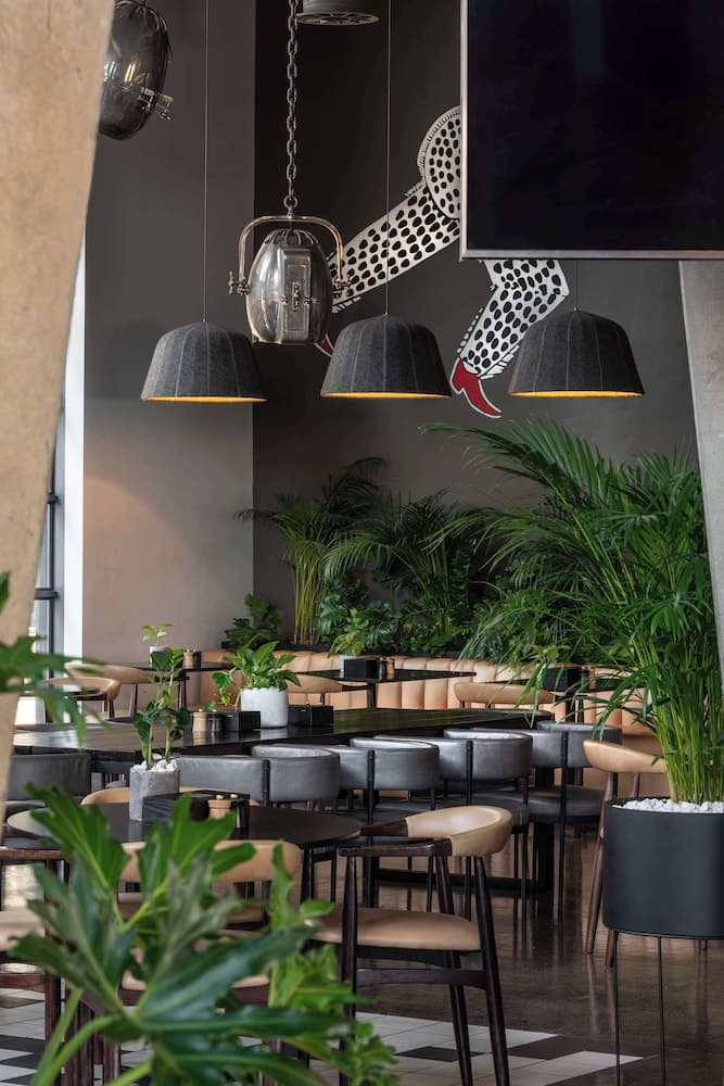 Radisson RED V&A Waterfront, Cape Town hotel, Silo 6, South Arm Road, V&A Waterfront, Cape Town, Western Cape, 8001, South Africa — photo 51