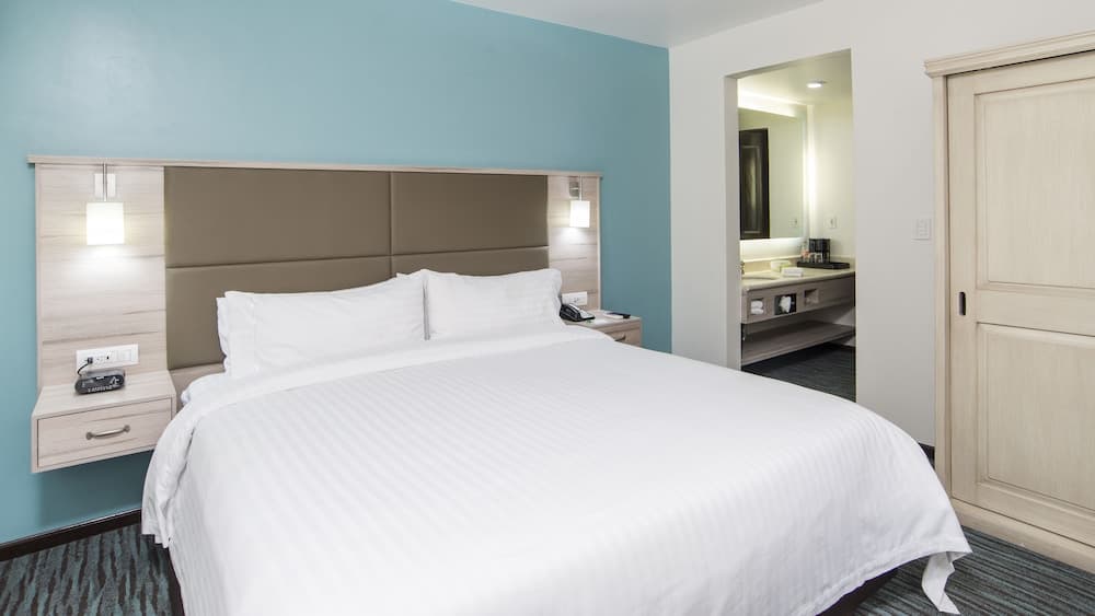 Holiday Inn & Suites Messico Zona Reforma by IHG — 12